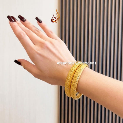 Regular Wear Sairs Bangles