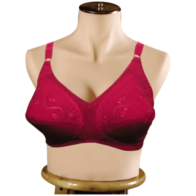 Beauty Secret Cotton Non-Padded Elegant Embroidered Bras with Center & Sides Lycra Detailing (2)