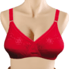 Louts Cotton Non-Padded Elegant Flower Embroidered Bra with Lycra Stretchable